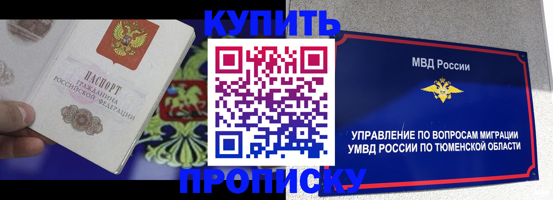 прописка 2025 в Кингисеппе